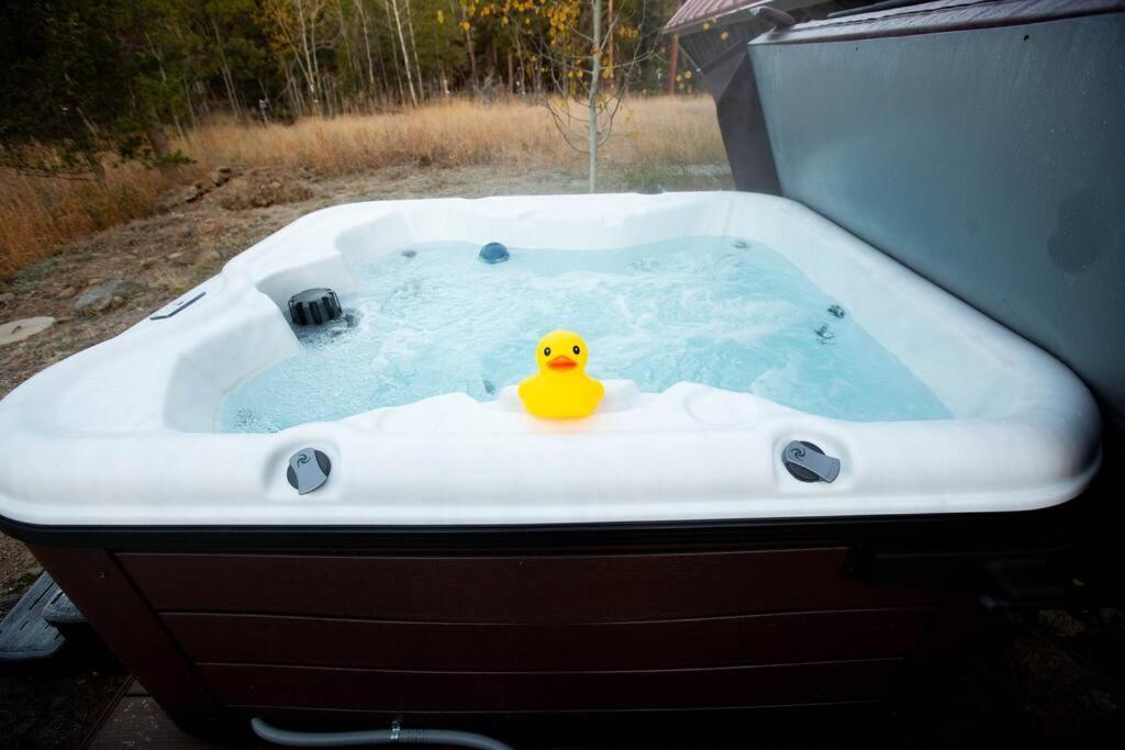 Little Gem Unique Mtn A-frame W Hot Tub Black Hawk